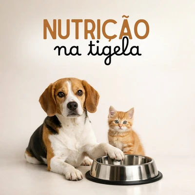 Nutrição na Tigela